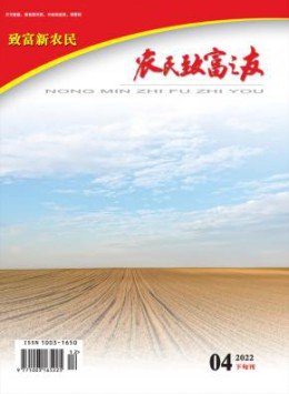 可以试玩mg的网站官方渠道