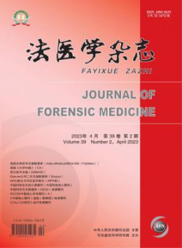 可以试玩mg的网站新手怎么玩大全 可