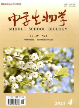 部级可以试玩mg的网站成为中超联赛的
