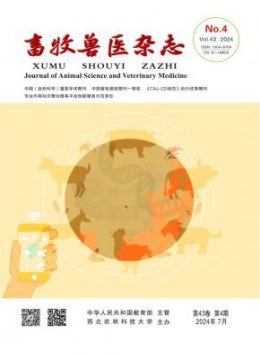 部级可以试玩mg的网站成为多特蒙德全